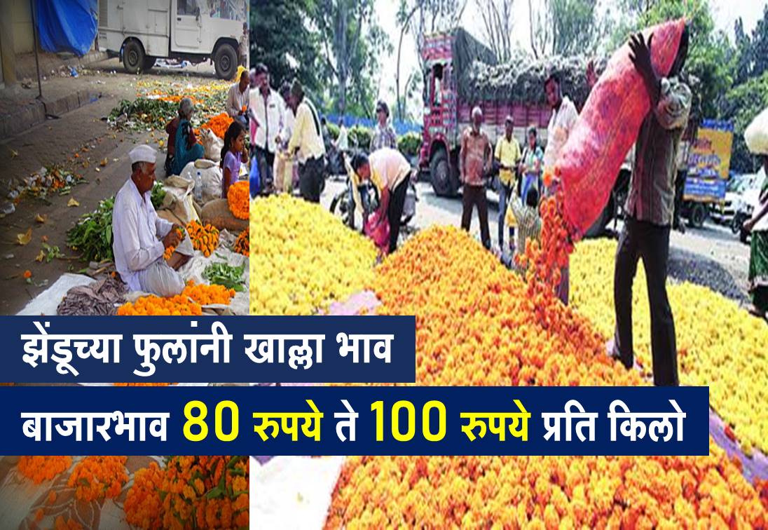 marigold market rate update