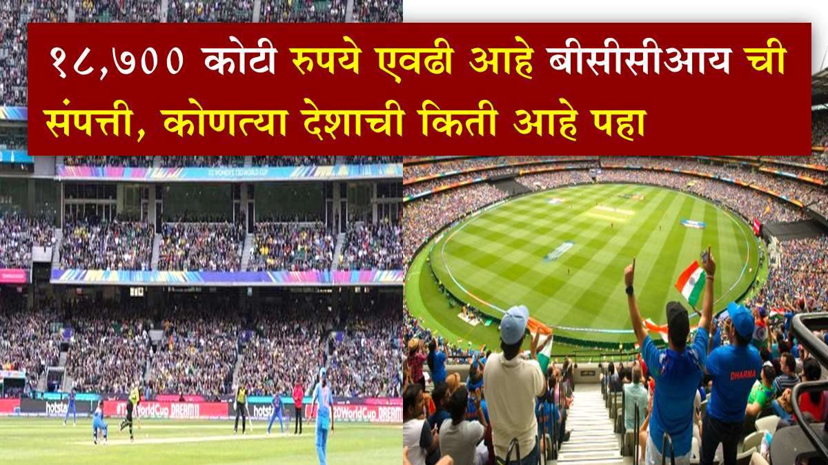 bcci total earn revenue year